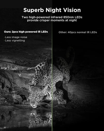 CY95 Full HD 4K 40MP Cámara Wlan de Caza con Tarjeta SD