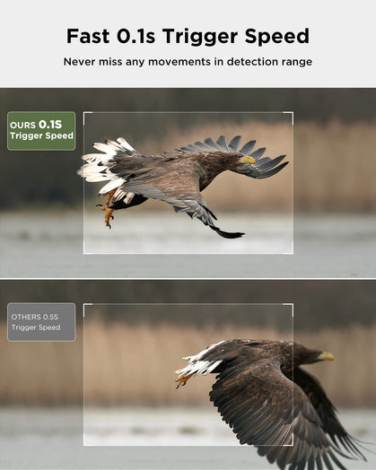 CY95 Full HD 4K 40MP Cámara Wlan de Caza con Tarjeta SD